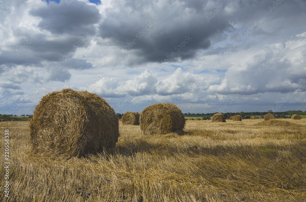 Straw bales in empty field after harvesting time on a background of dark dramatic clouds in overcast sky.Beautiful scene for presenting country landscape. Straw bales in empty field after harvesting time on a background of dark dramatic clouds in overcast sky.Beautiful scene for presenting country landscape.