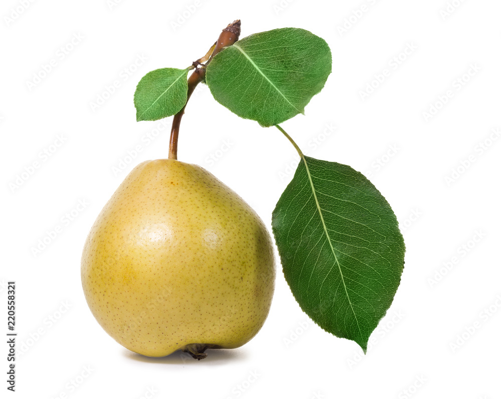 Ripe pear with leaves, isolated on white background.