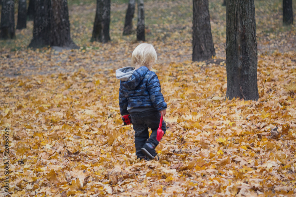 ?hild walks in an autumn park among fallen leaves. People ?hild walks in an autumn park among fallen leaves. People
