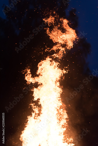 Bonfire burning trees at night. Large orange flame isolated on a black background. Fire on black. Brightly  heat  light  camping  big bonfire