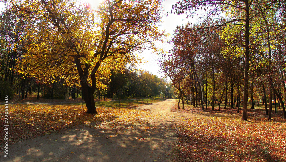 Obraz premium Stitched Panorama Золотая осень