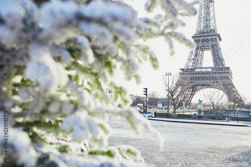 Fototapeta Naklejka Na Ścianę i Meble -  Christmas tree covered with snow near Eiffel tower