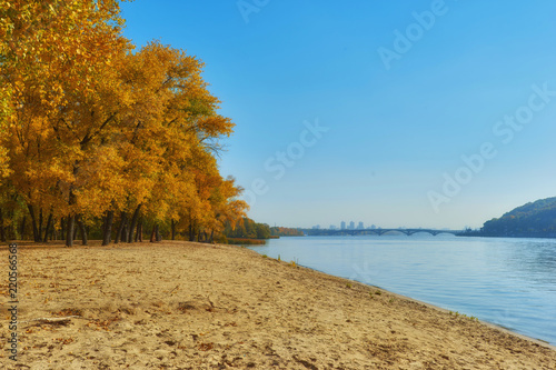 Autumn trees near the river, leaves on sand.