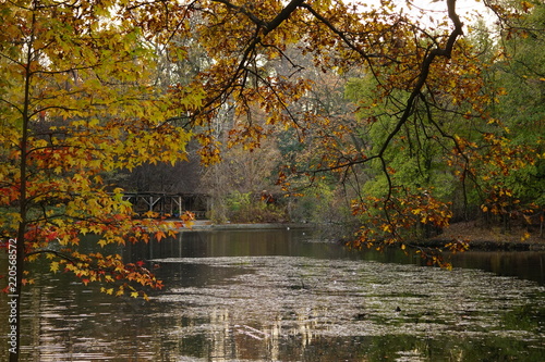 Prospect Park in Summer
