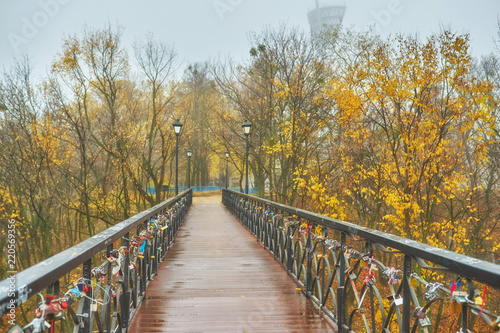 bridge with beautiful metal forging, in the park warm autumn in the afternoon