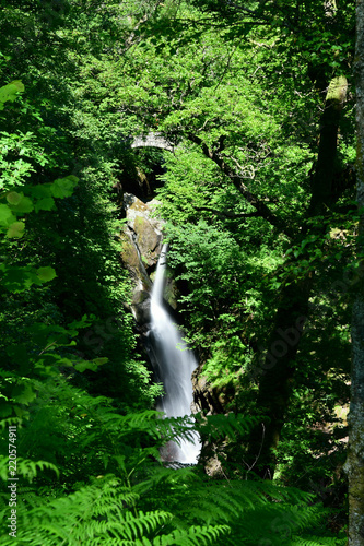 Long exposure of Aira force waterfall in the Lake District photo
