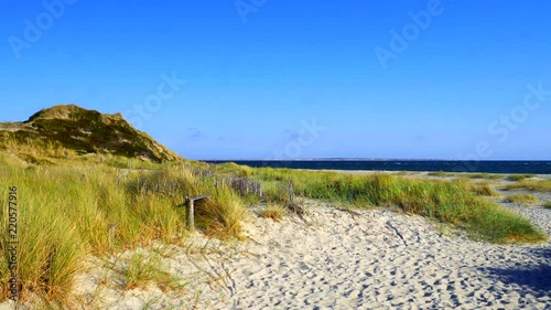 Sylt Dünen Landschaft in Hörnum mit Blick auf Amrum