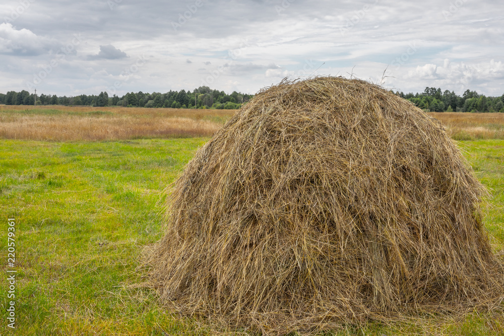 hay in the field against hay in the field against