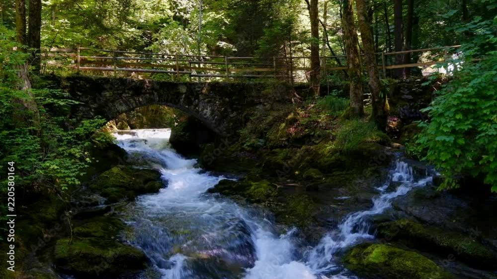 Waterfall in the forest at summer, Switzerland Waterfall in the forest at summer, Switzerland