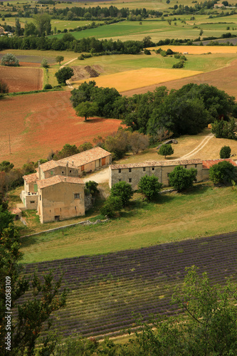 Fototapeta Naklejka Na Ścianę i Meble -  Lavendelfeld in der Provence