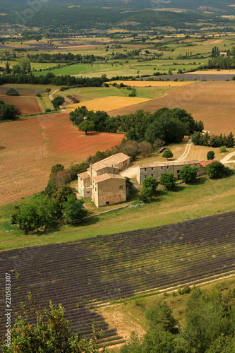 Fototapeta Naklejka Na Ścianę i Meble -  Lavendelfeld in der Provence