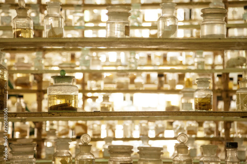 Museum shelves with specimens preserved wet in glass jars of formalin. Jarred animals in a scientific collection of biological samples