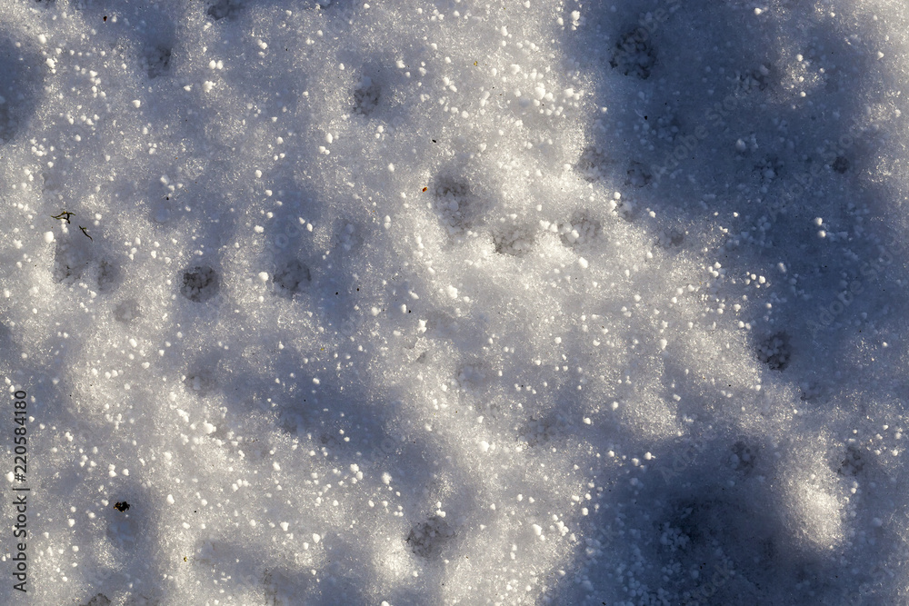 Obraz premium Winter time of the year, photo