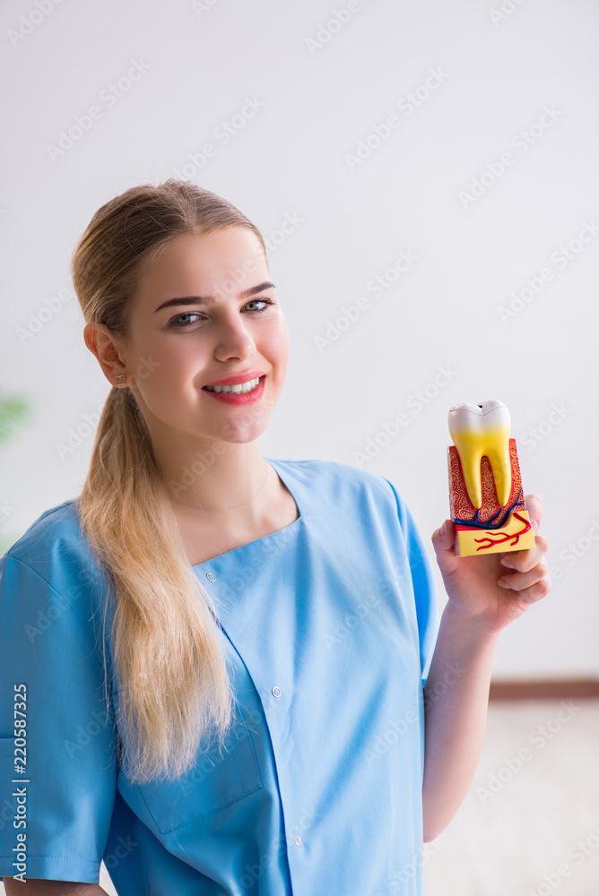 Young doctor nurse with tooth model Young doctor nurse with tooth model