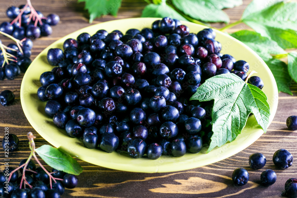 Aronia melanocarpa or black chokeberry with leaves in yellow bowl on wooden background. Healthy natural food. Aronia melanocarpa or black chokeberry with leaves in yellow bowl on wooden background. Healthy natural food.