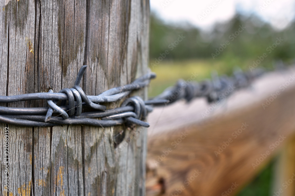 Barbed Wire Fence and Fence Post Close Up