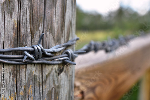 Barbed Wire Fence and Fence Post Close Up © Pam Walker