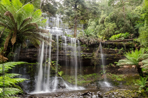 Russell Falls lies within Tasmania  Australia. It is situated in lush  green rainforest. Long exposure with moss covered rocks in the foreground.