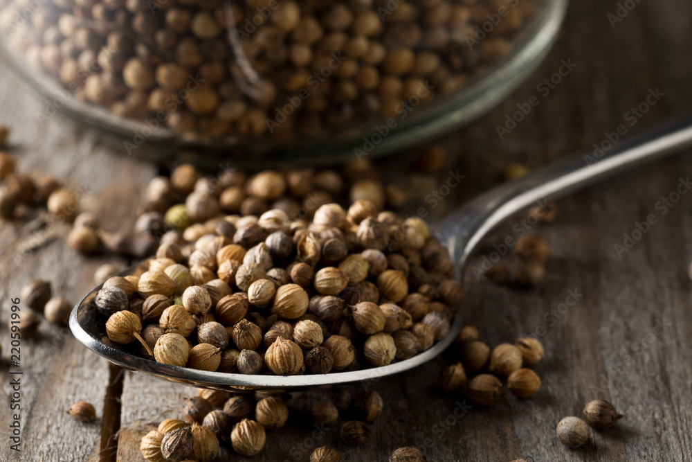 Raw, unprocessed organic coriander or cilantro seeds in glass jar on wooden table