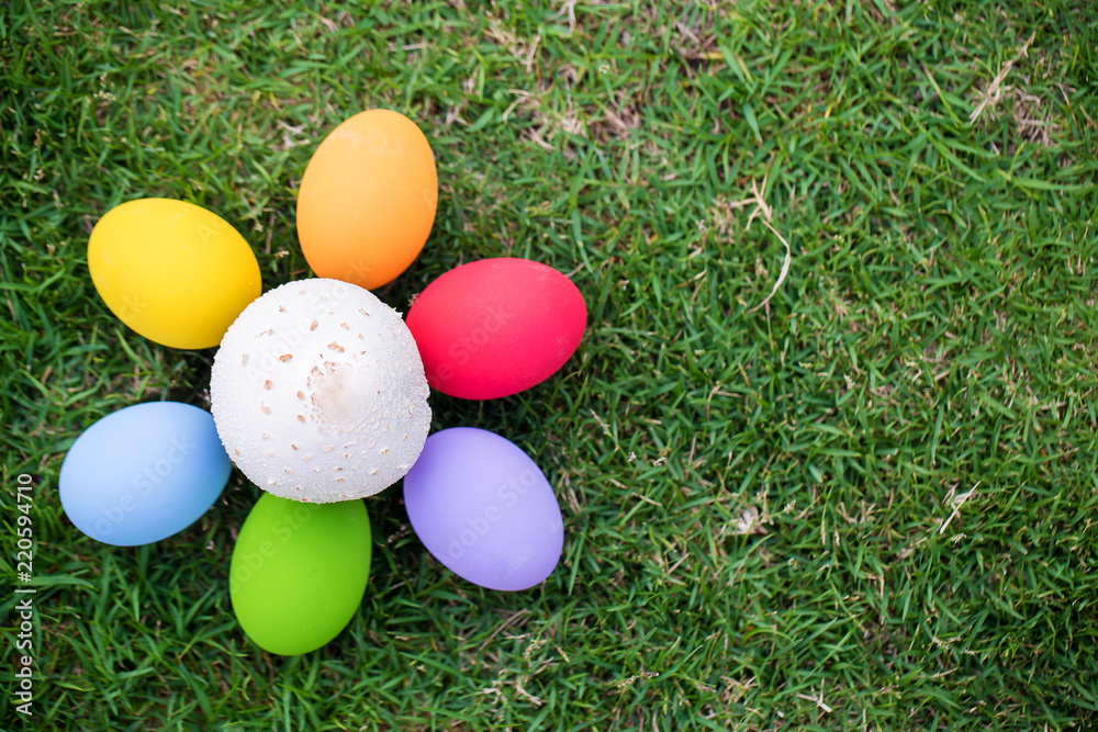 Colorful easter eggs under the white mushroom on the green garden yard. symbol of easter's day festival. festive wallpaper. image for background, wallpaper,article,illustration and copy space.
