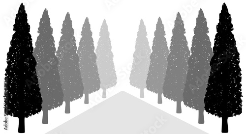 Decorative trees along the road, silhouette vector