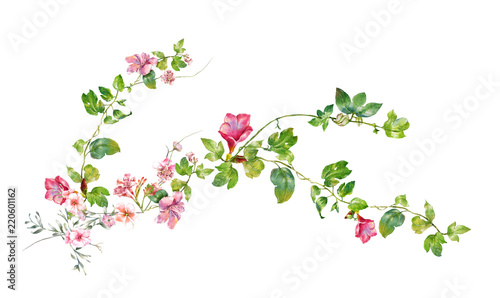 Wallpaper Mural watercolor painting of leaves and flower, on white background Torontodigital.ca