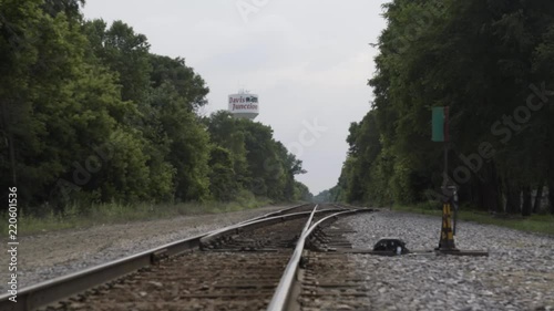 Railroad tracks intersection with trees on each side.