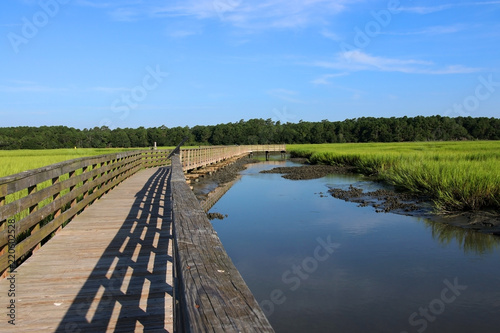 Huntington Beach State Park, South Carolina, USA.Scenic view from the wooden boardwalk on the expansive salt marsh during sunny morning. South Carolin nature background. Litchfield, Myrtle Beach area. photo