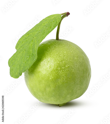 Water drop, Fresh guava with leaf isolated on white background. with clipping path