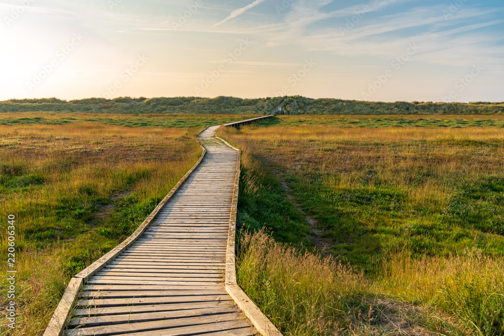 Footpath to the sea at the Gronant Dunes Nature Reserve, Denbighshire, Wales, UK