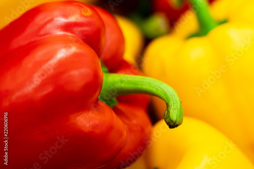 The paprika is so delicious vegetable that everybody enjoy it, besides this is digestible food and good for our health because they contain so much fiber.