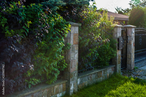 Betonowe ogrodzenie domu z ozdobną zielenią