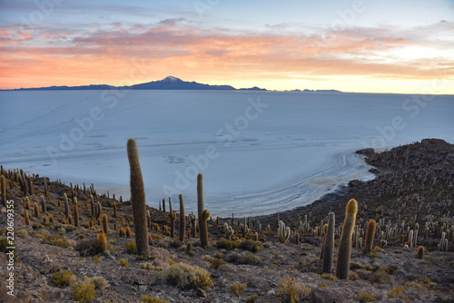 Sunrise views of the Salar de Uyuni from Isla Incahuasi. Uyuni, Bolivia photo