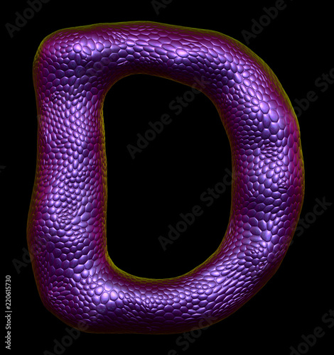 Letter D made of natural purple snake skin texture isolated on black. photo