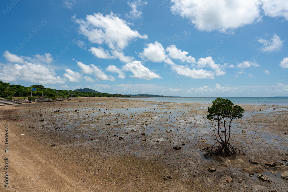 Landscape Of Nagura Bay At Low Tide Of Ishigaki Island In Okinawa Japan 石垣島 名蔵湾 干潮時 Stock Photo Adobe Stock