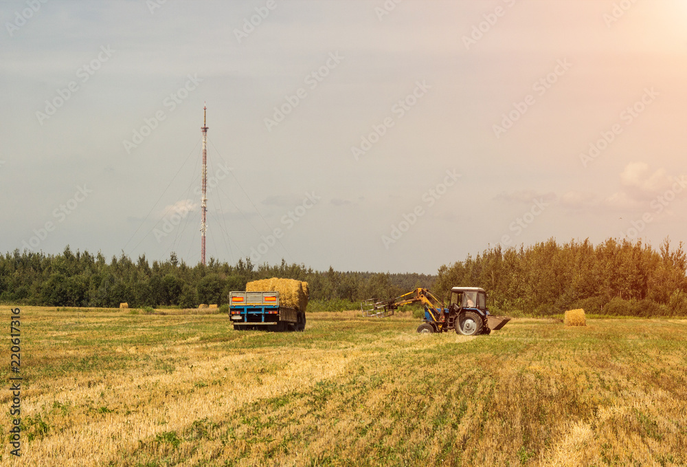 Obraz premium Farmer on a tractor picks haystack and loads bale of hay into the trailer, agriculture