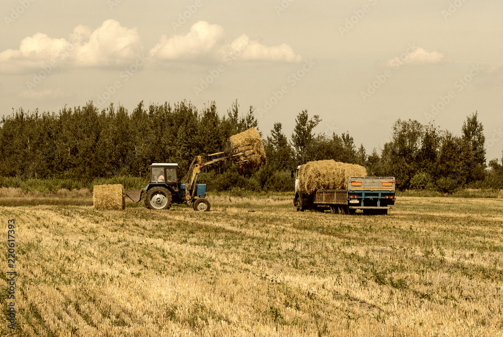 Obraz premium Farmer on a tractor picks haystack and loads bale of hay into the trailer, agriculture