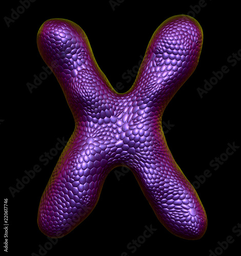 Letter X made of natural purple snake skin texture isolated on black. photo