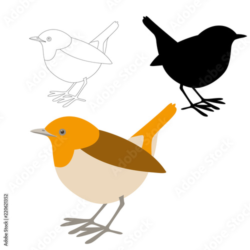 robin bird  vector illustration flat style   black silhouette