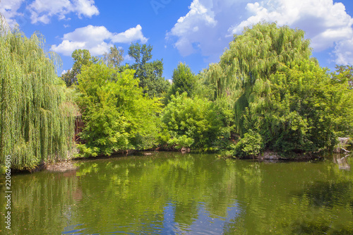 green nature with lake