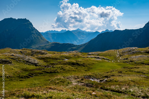 Grüne Weiden in den Bergen Österreichs © Johannes Aßlaber