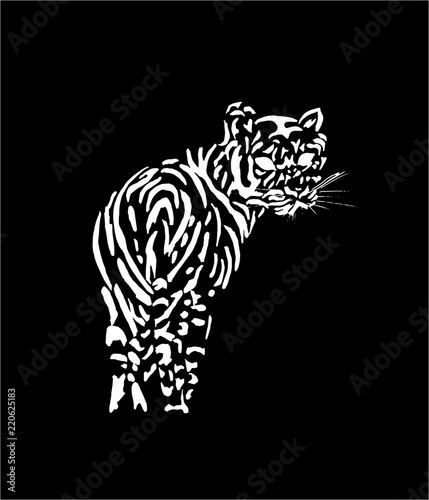 Black and white illustration of a tiger. Drawing from the hand of a wild animal.