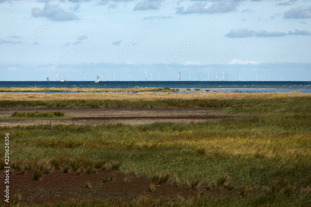 offshore wind farm on the baltic sea in germany
