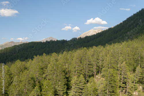 piedmont