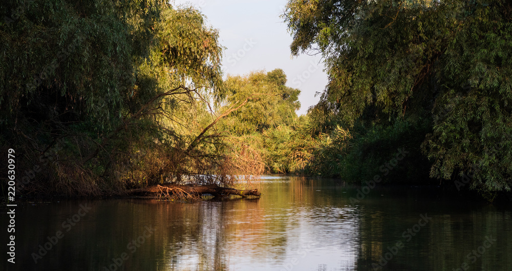 canal of delta dunarii canal of delta dunarii