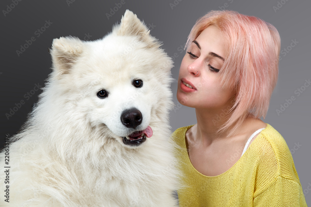 Studio shot of a young blonde girl with her pet dog white Samoyed. The dog looks carefully at the camera and sticks out his tongue