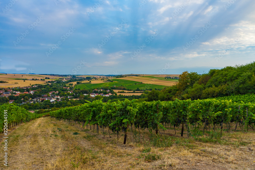 schöner Abendhimmel über Weinreben und Dörfer. Standort: Deutschland, Rheinland-Pfalz