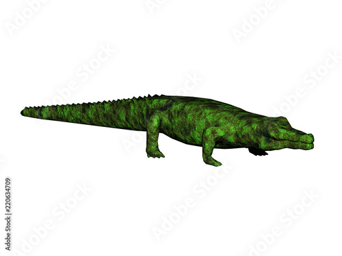 Grünes Krokodil © Dr. N. Lange