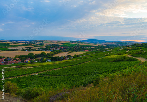 Blick auf Weinreben, im Hintergrund Dörfer in Rheinland-Pfalz
