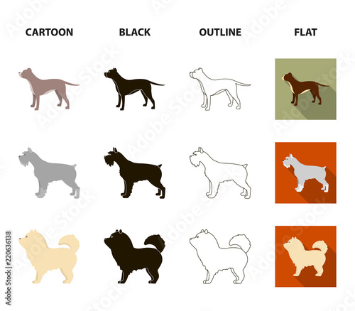 Pit bull, german shepherd, chow chow, schnauzer. Dog breeds set collection icons in cartoon,black,outline,flat style vector symbol stock illustration web.